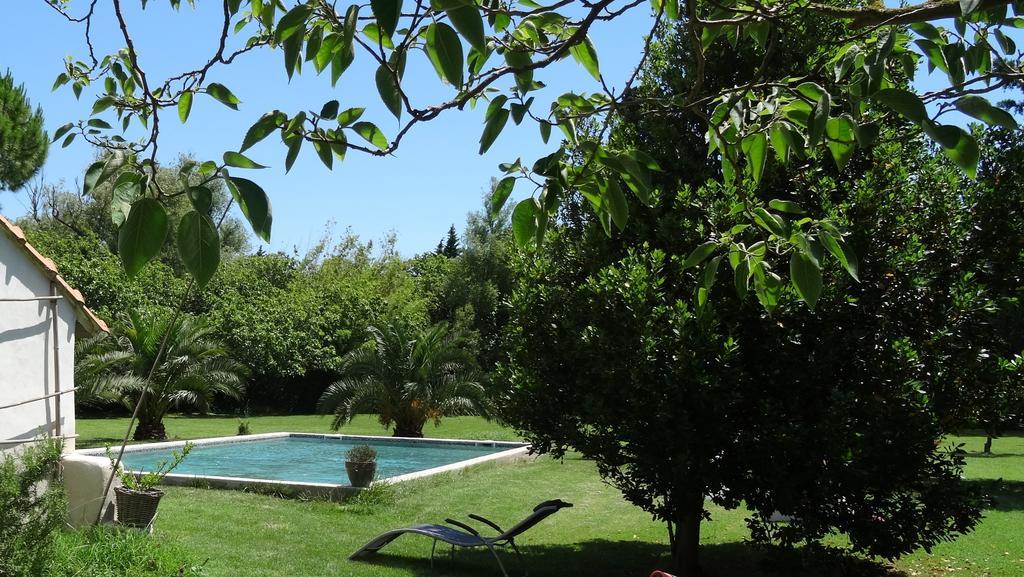 Mas De Bouvet En Camargue Bed and Breakfast Albaron Exteriör bild