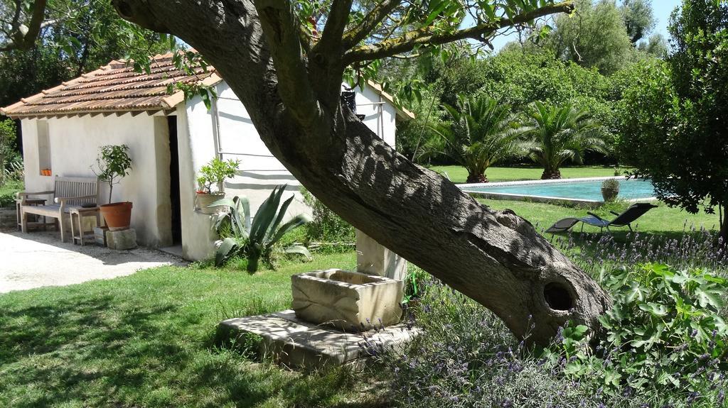 Mas De Bouvet En Camargue Bed and Breakfast Albaron Exteriör bild