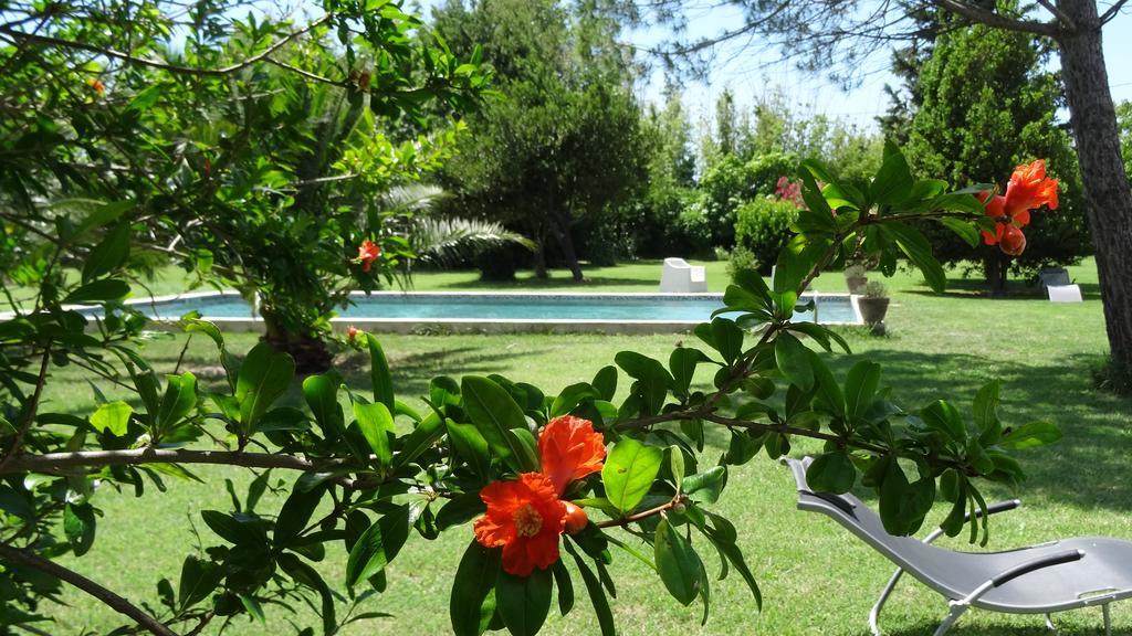 Mas De Bouvet En Camargue Bed and Breakfast Albaron Exteriör bild